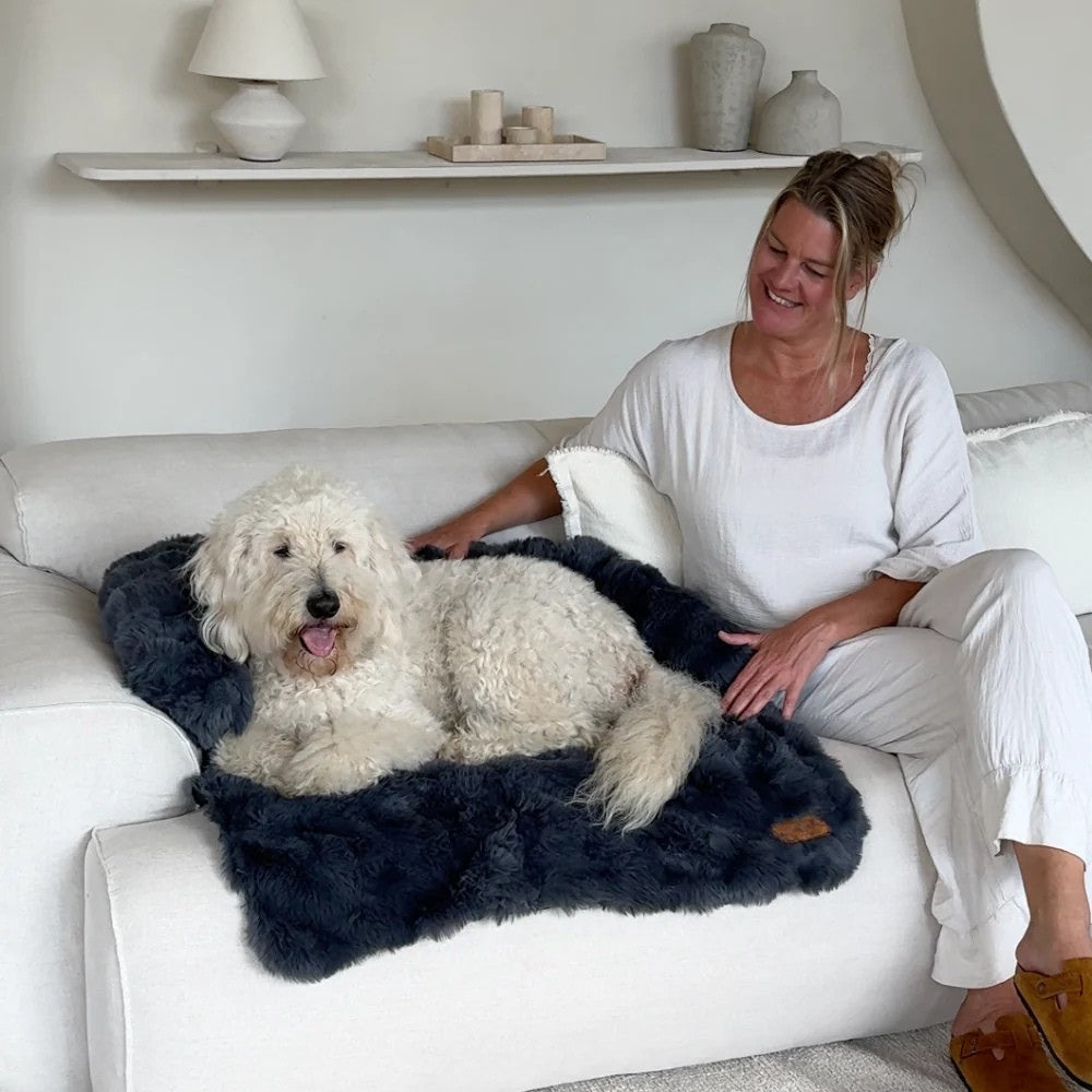Cuccia da Divano per Cani
