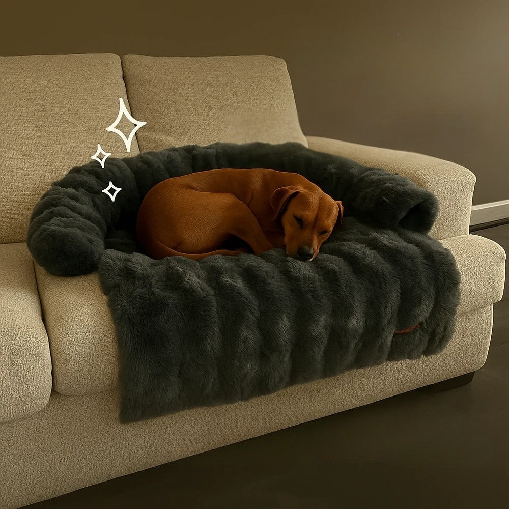 Cuccia da Divano per Cani