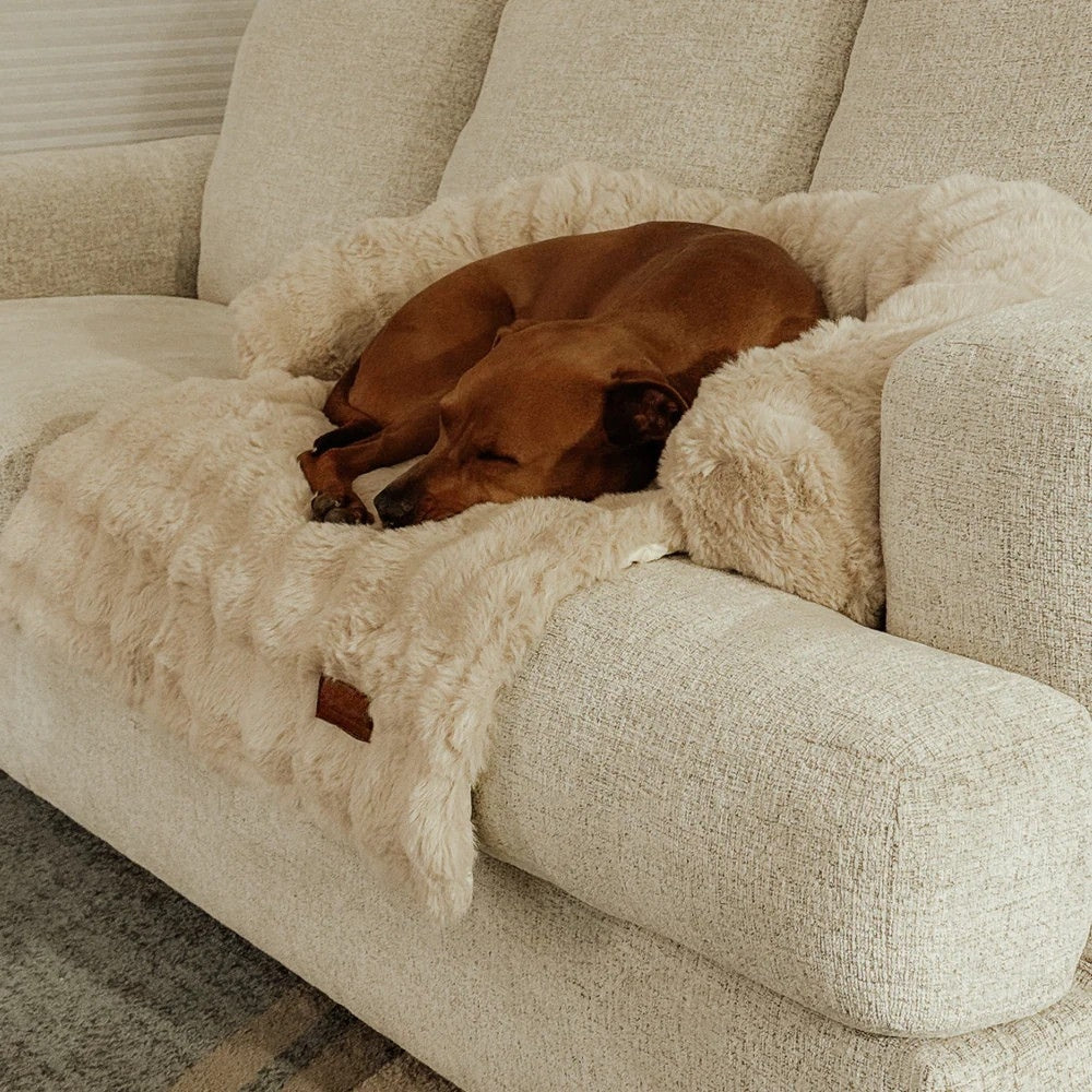 Cuccia da Divano per Cani